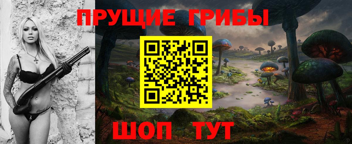 Псилоцибиновые грибы Psilocybine cubensis  Вход с VPN  Качканар 
